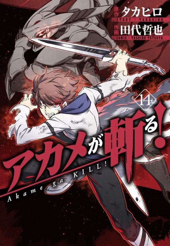 Akame ga Kill 14